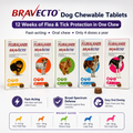 Bravecto Chewable for Dogs | Flea Tick Lice Mite Support | 12 Weeks Long-Lasting Pet Care