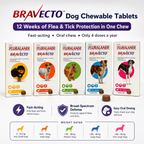 Bravecto Chewable for Dogs | Flea Tick Lice Mite Support | 12 Weeks Long-Lasting Pet Care