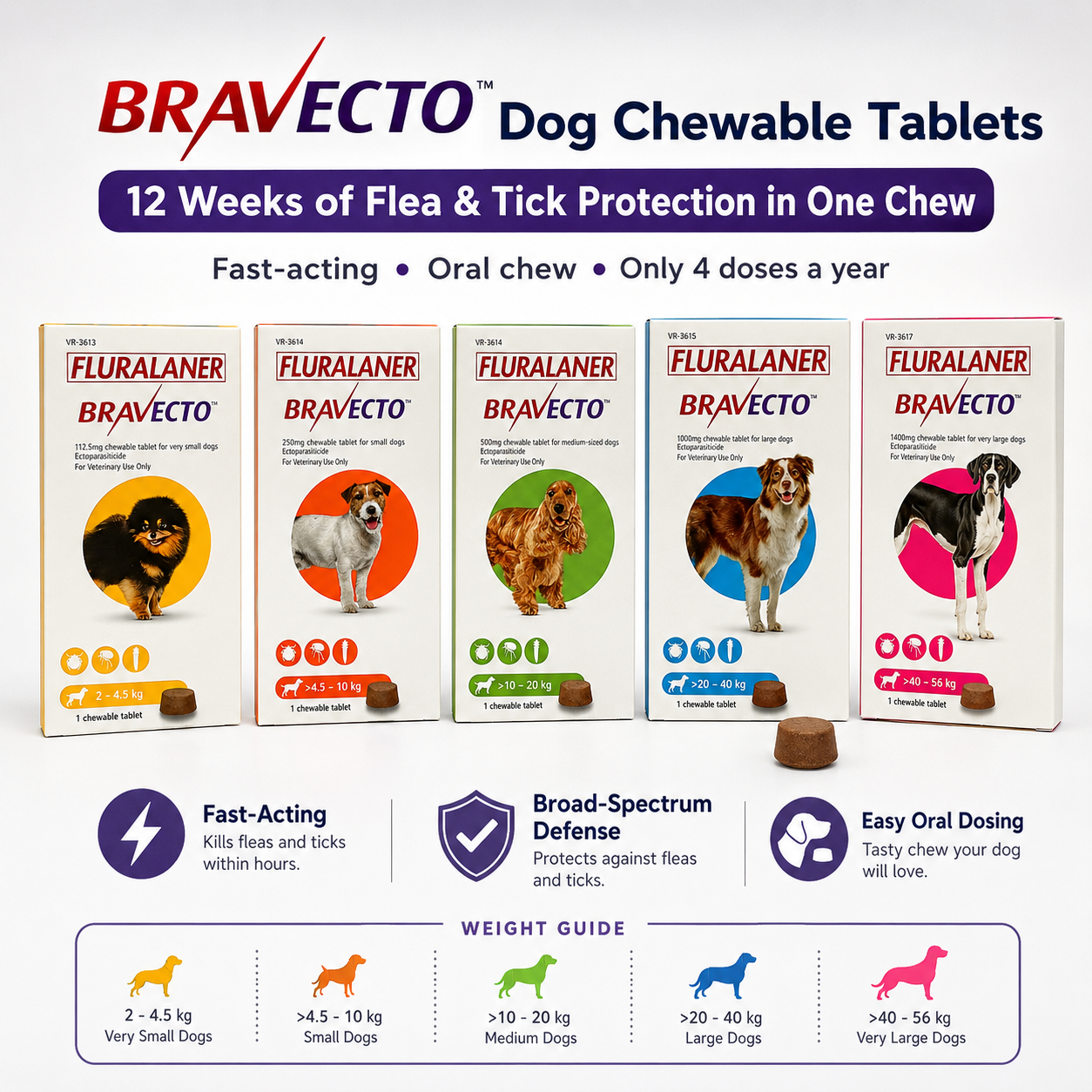 Bravecto Chewable for Dogs | Flea Tick Lice Mite Support | 12 Weeks Long-Lasting Pet Care