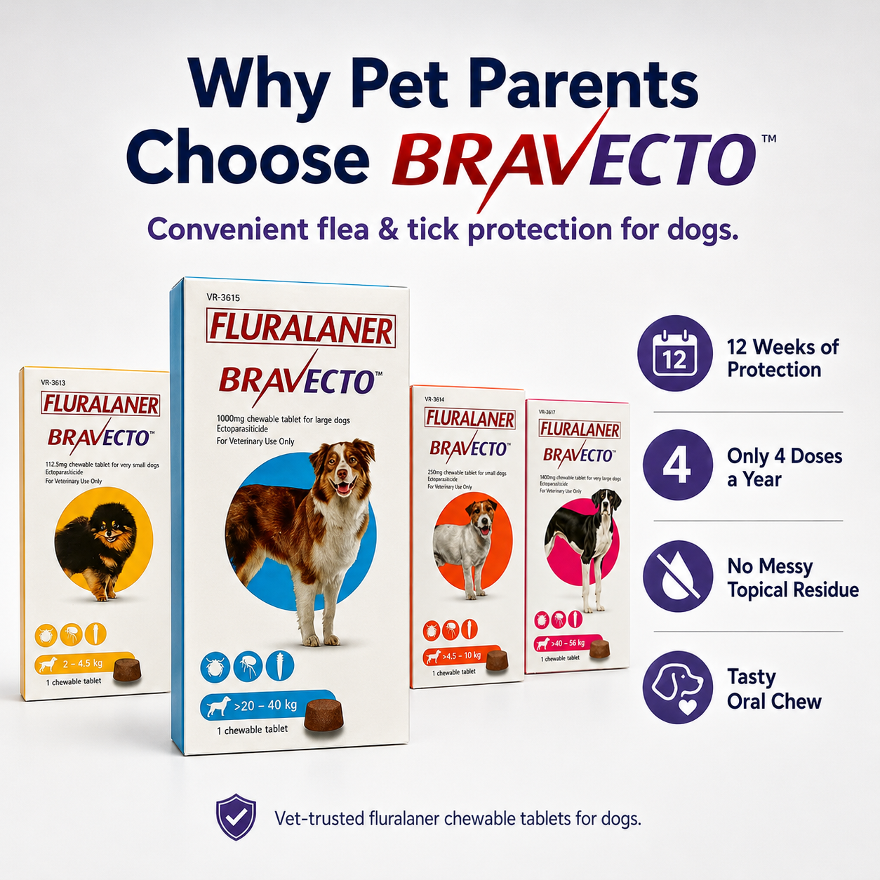 Bravecto Chewable for Dogs | Flea Tick Lice Mite Support | 12 Weeks Long-Lasting Pet Care