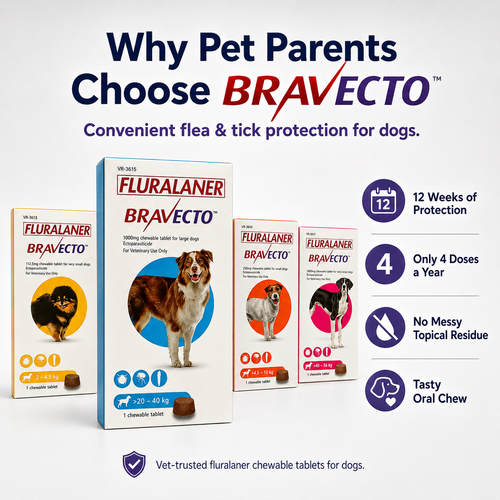 Bravecto Chewable for Dogs | Flea Tick Lice Mite Support | 12 Weeks Long-Lasting Pet Care