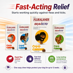 Bravecto Chewable for Dogs | Flea Tick Lice Mite Support | 12 Weeks Long-Lasting Pet Care