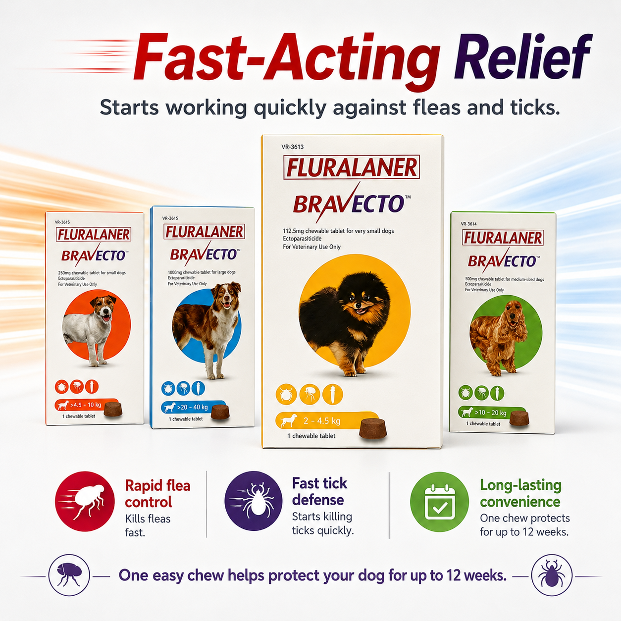 Bravecto Chewable for Dogs | Flea Tick Lice Mite Support | 12 Weeks Long-Lasting Pet Care