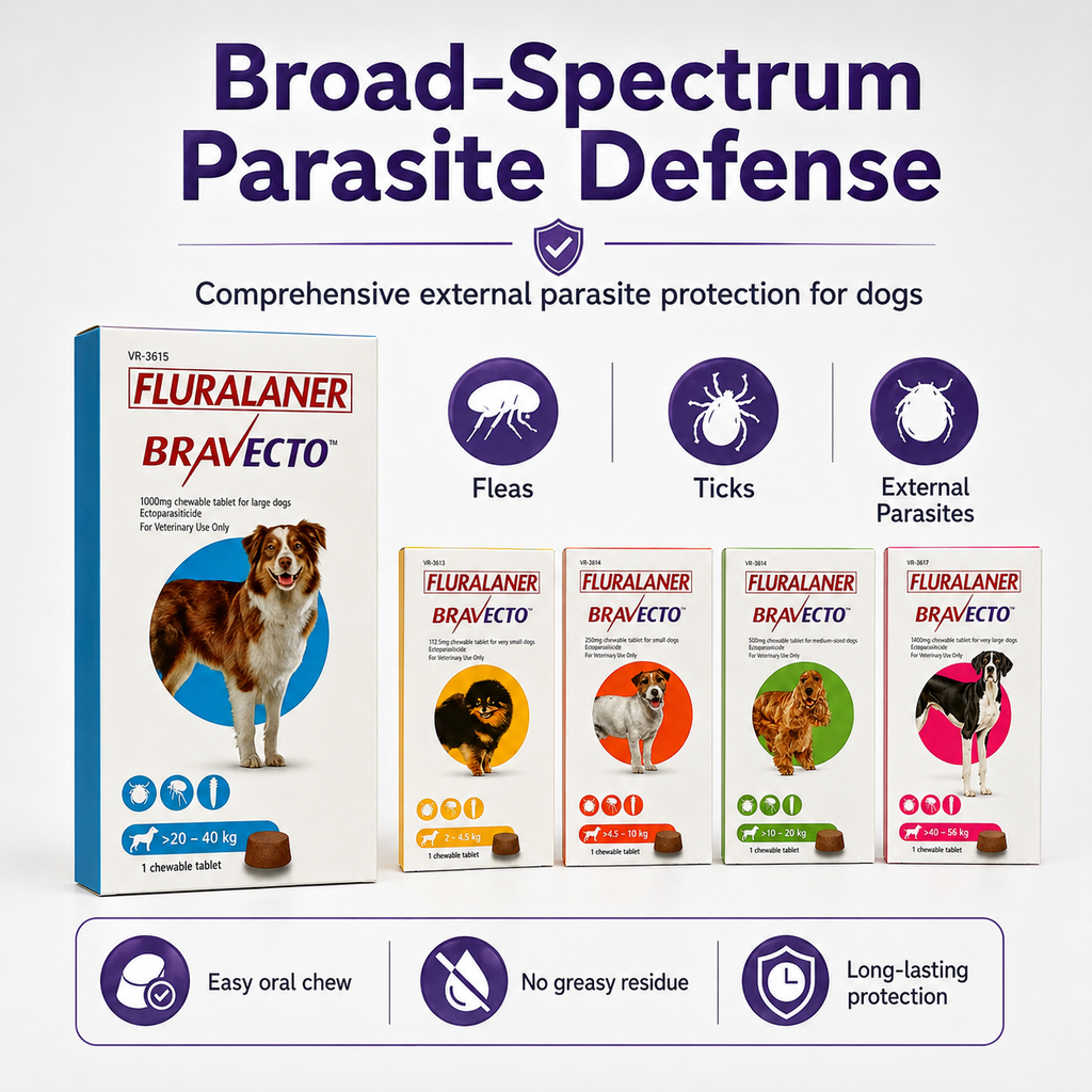 Bravecto Chewable for Dogs | Flea Tick Lice Mite Support | 12 Weeks Long-Lasting Pet Care