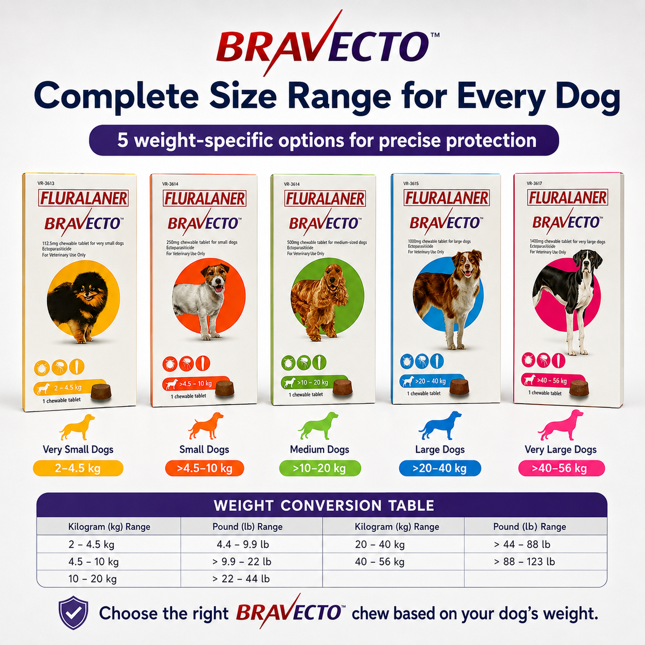 Bravecto Chewable for Dogs | Flea Tick Lice Mite Support | 12 Weeks Long-Lasting Pet Care