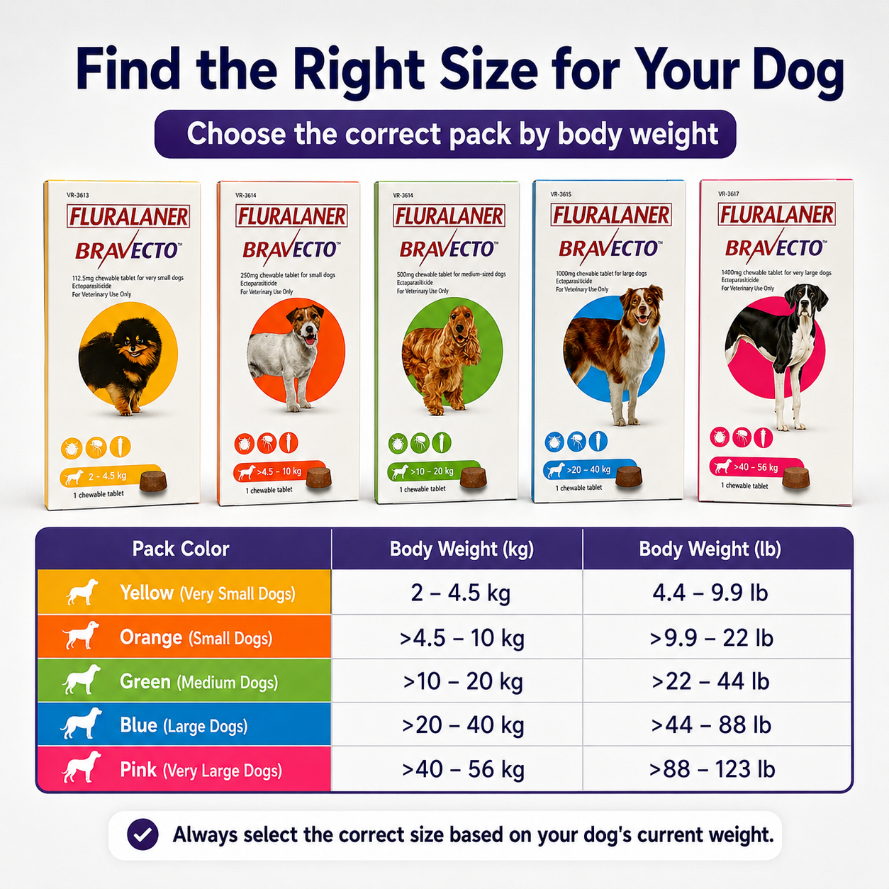 Bravecto Chewable for Dogs | Flea Tick Lice Mite Support | 12 Weeks Long-Lasting Pet Care
