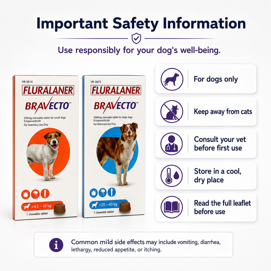 Bravecto Chewable for Dogs | Flea Tick Lice Mite Support | 12 Weeks Long-Lasting Pet Care