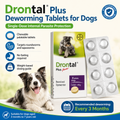 Drontal Plus Deworming Tablets for Dogs