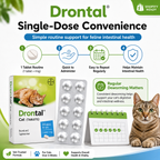 Drontal Plus Deworming Tablets for Cats