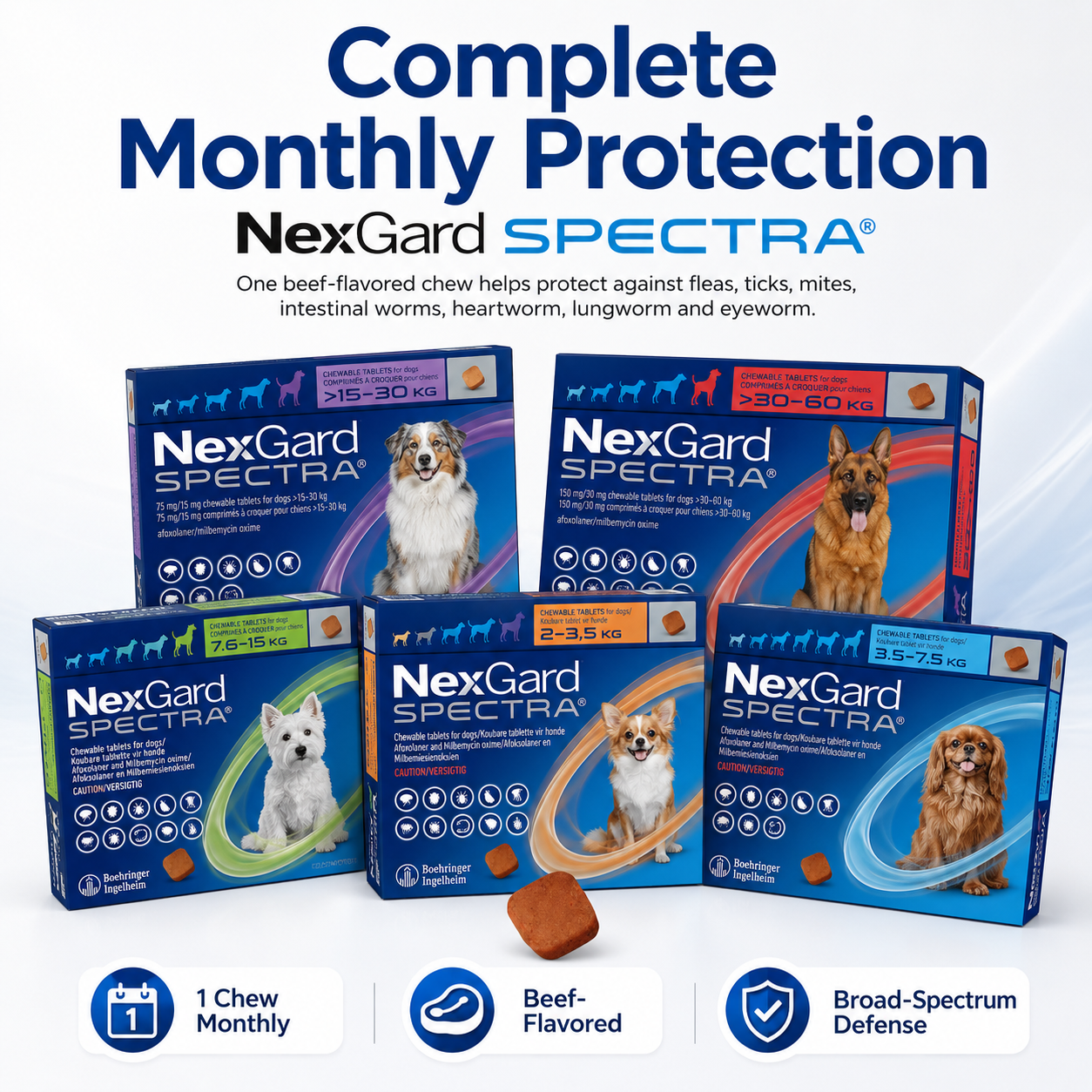 Nexgard Spectra Canine Formula for Small, Medium and Large Dogs