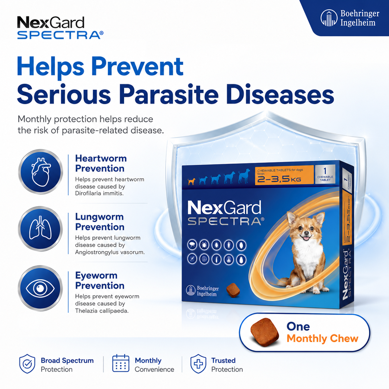 Nexgard Spectra Canine Formula for Small, Medium and Large Dogs
